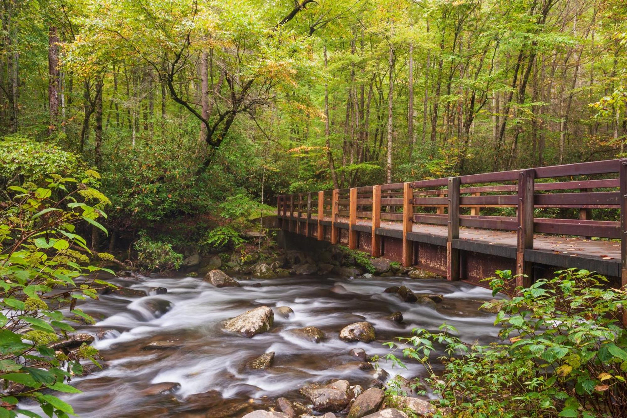 Wilderness Lodge, Hot Tub, Game Room, Pool Access, 1089 Free Tickets Each Paid Day, Dollywood And M Sevierville Exteriör bild